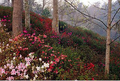 《王国之心4》新“无心”引热议 玩家猜测或暗示新迪士尼世界登场